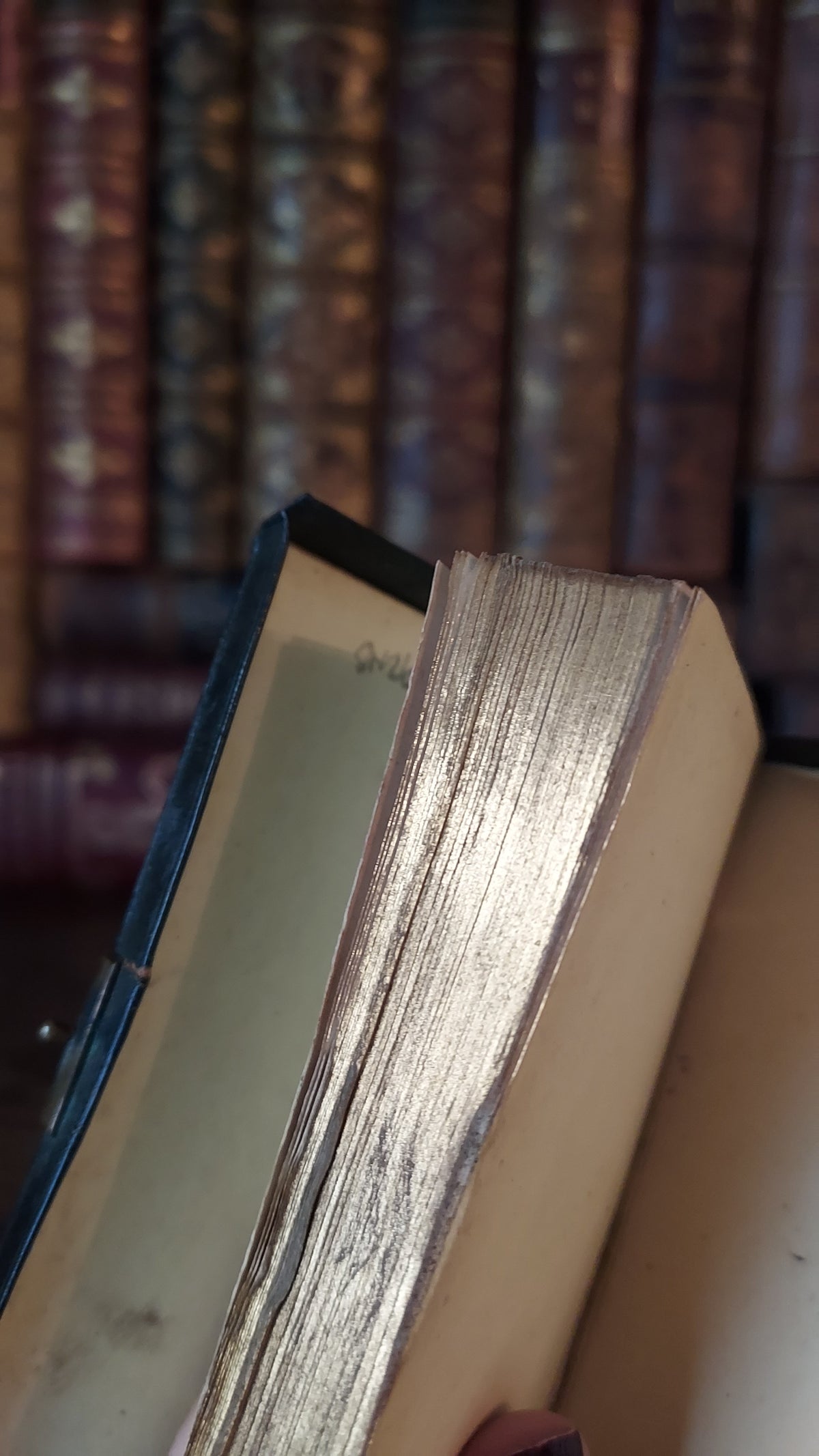 1870s The Book of Common Prayer | Unique Mini Cased-In Box Binding