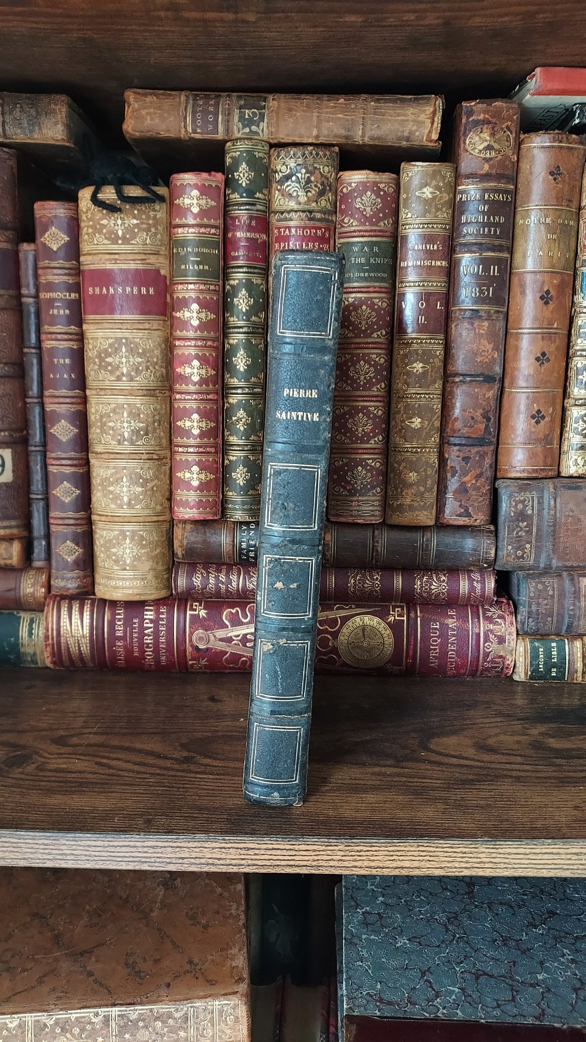 1845 Pierre Saintive | Vine Motif Cartonnage