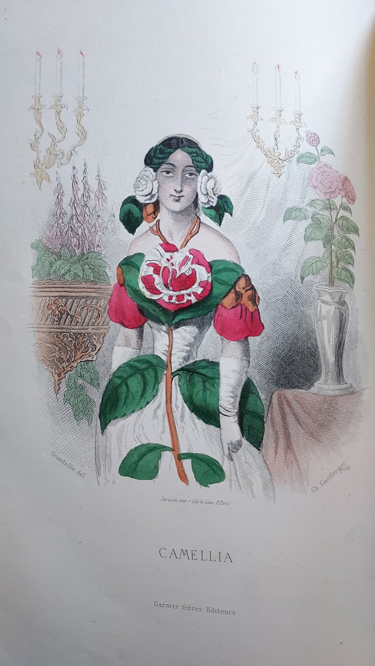 1867 Les Fleurs Animées | Grandville Brown Leather 2-Volume Set