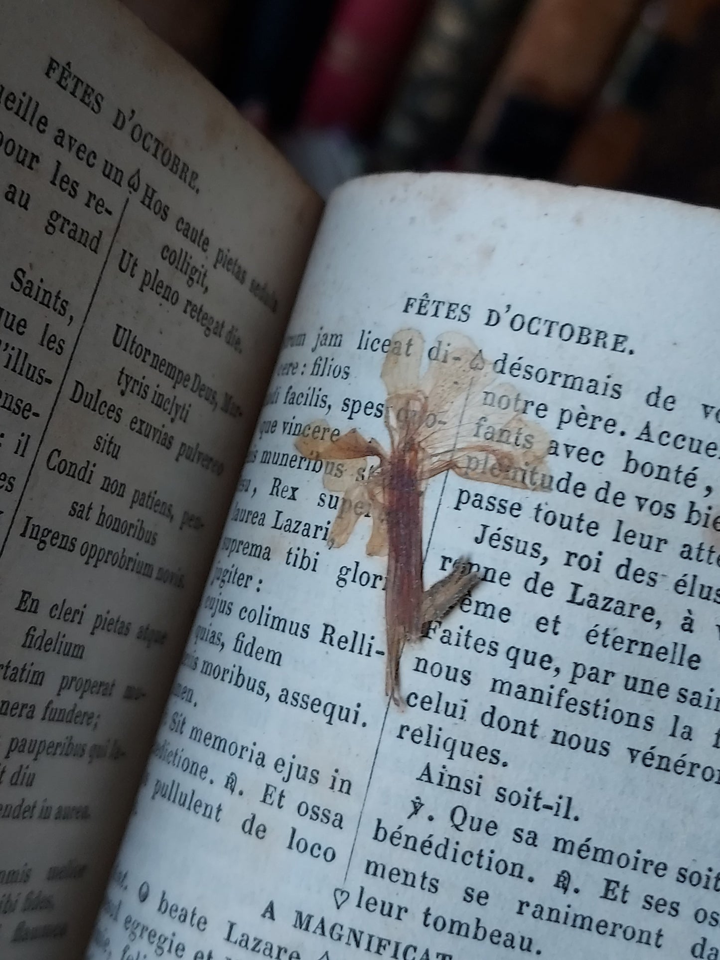 1860s Eucologe ou Paroissien Romain-Éduen: Gauffered Red Pages & Clasp