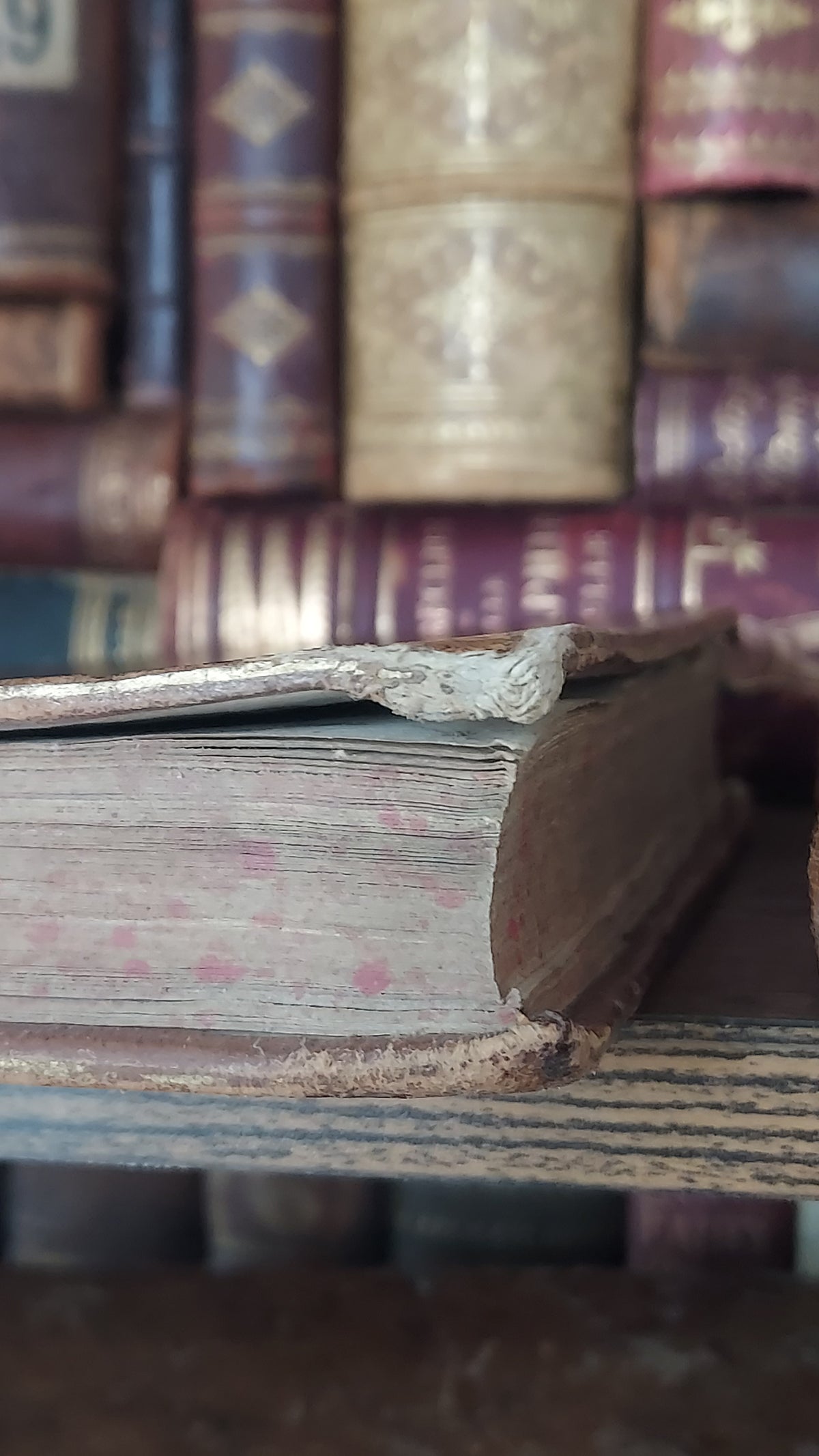 1776 Sermons de M. Massillon | 2-Volume Set w/Monastic Labels