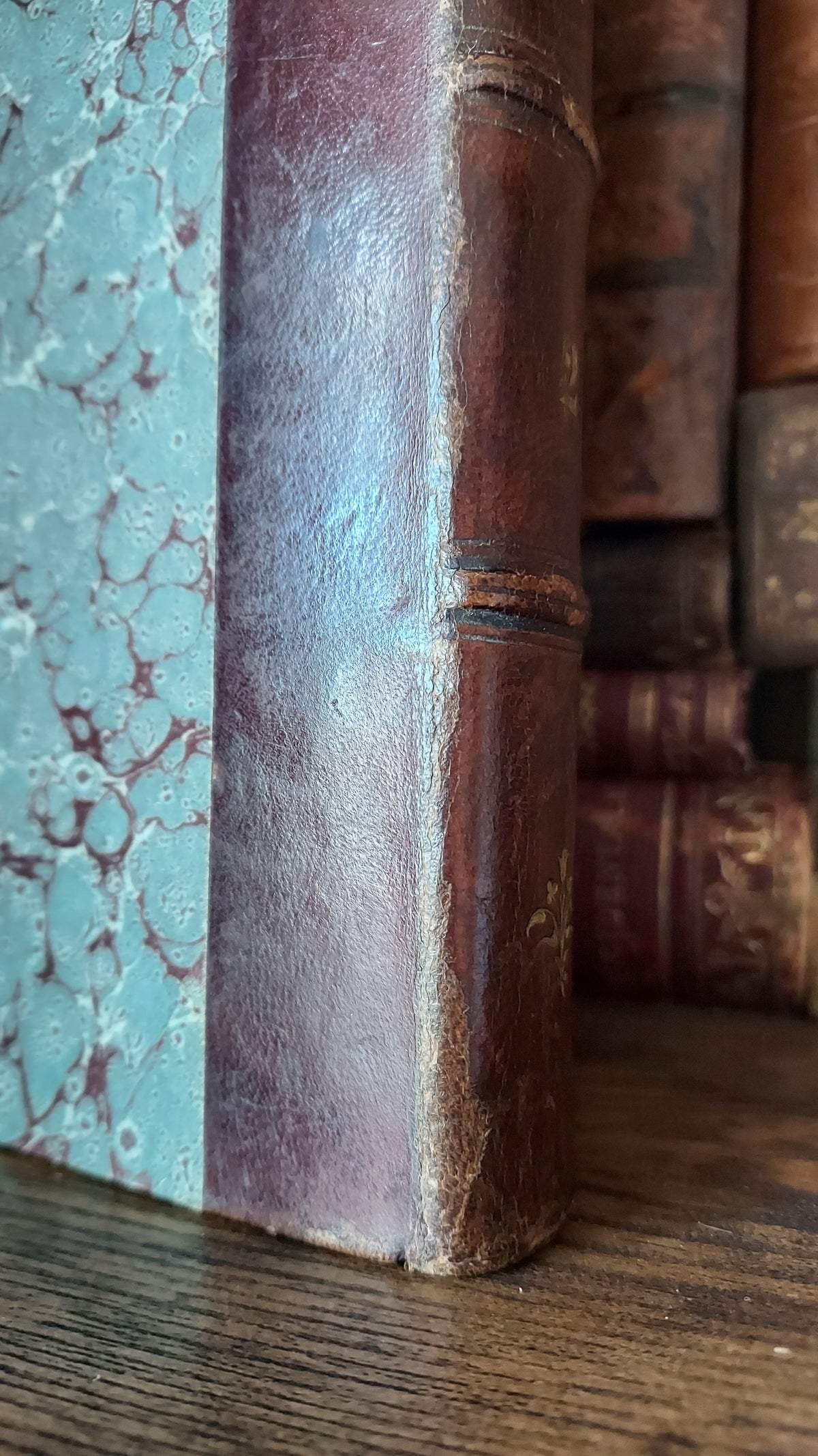 1867 Les Fleurs Animées | Grandville Brown Leather 2-Volume Set