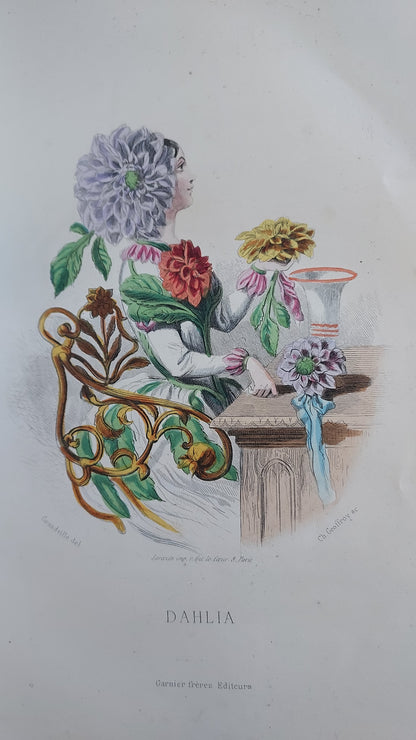 1867 Les Fleurs Animées | Grandville Brown Leather 2-Volume Set