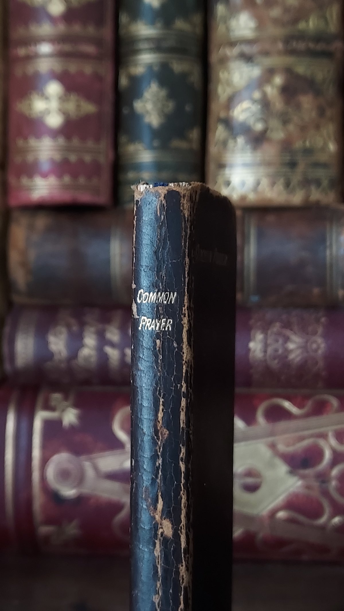 1890s The Book of Common Prayer | Finger Bible