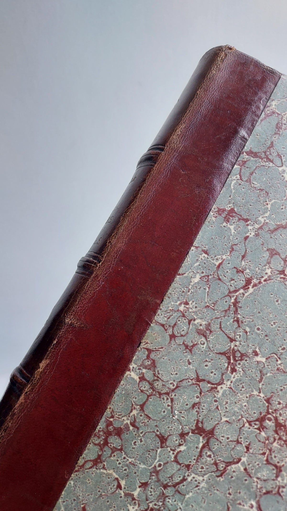 1867 Les Fleurs Animées | Grandville Brown Leather 2-Volume Set