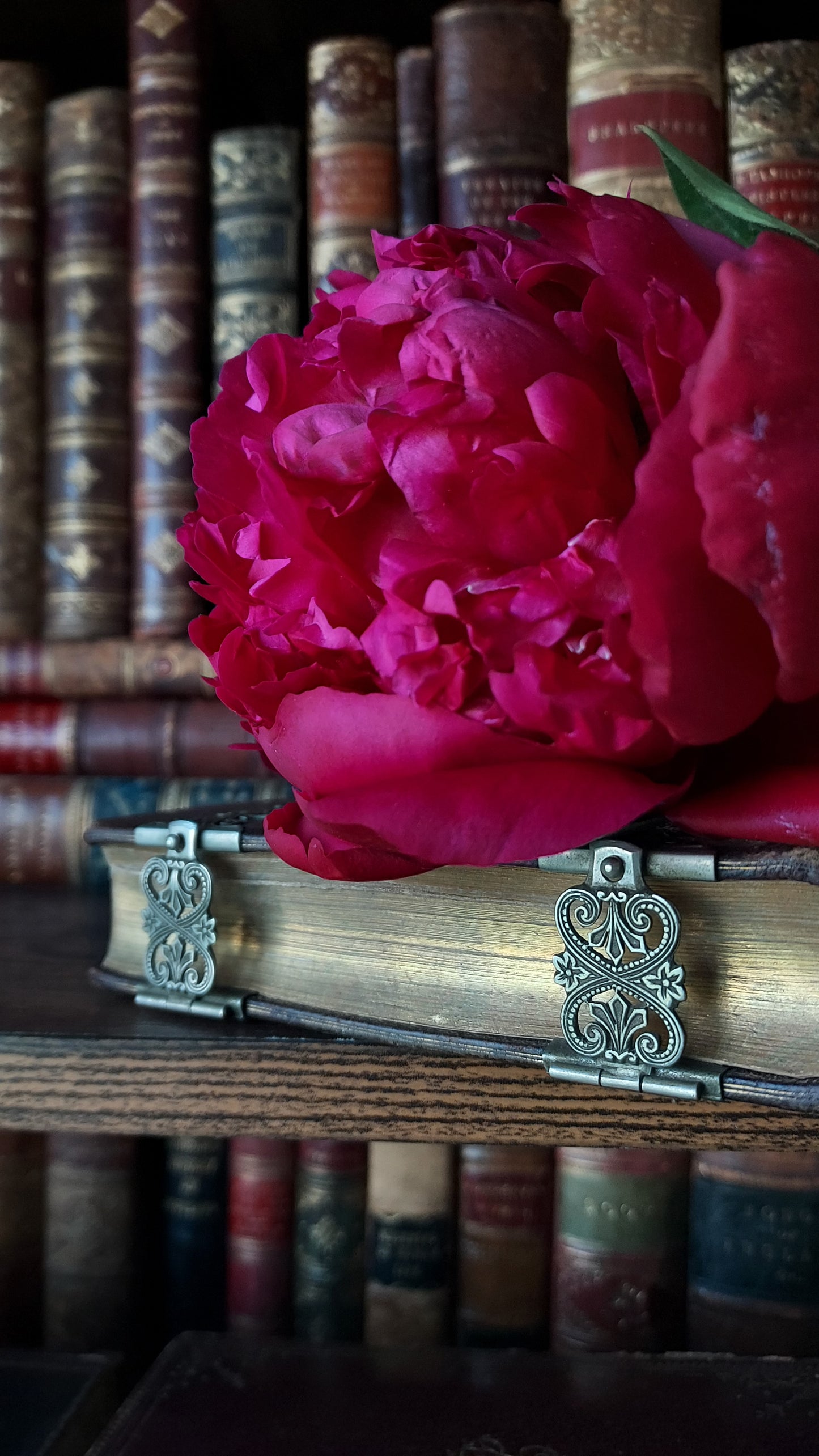 1880s Paroissien Romain | Floral Clasp