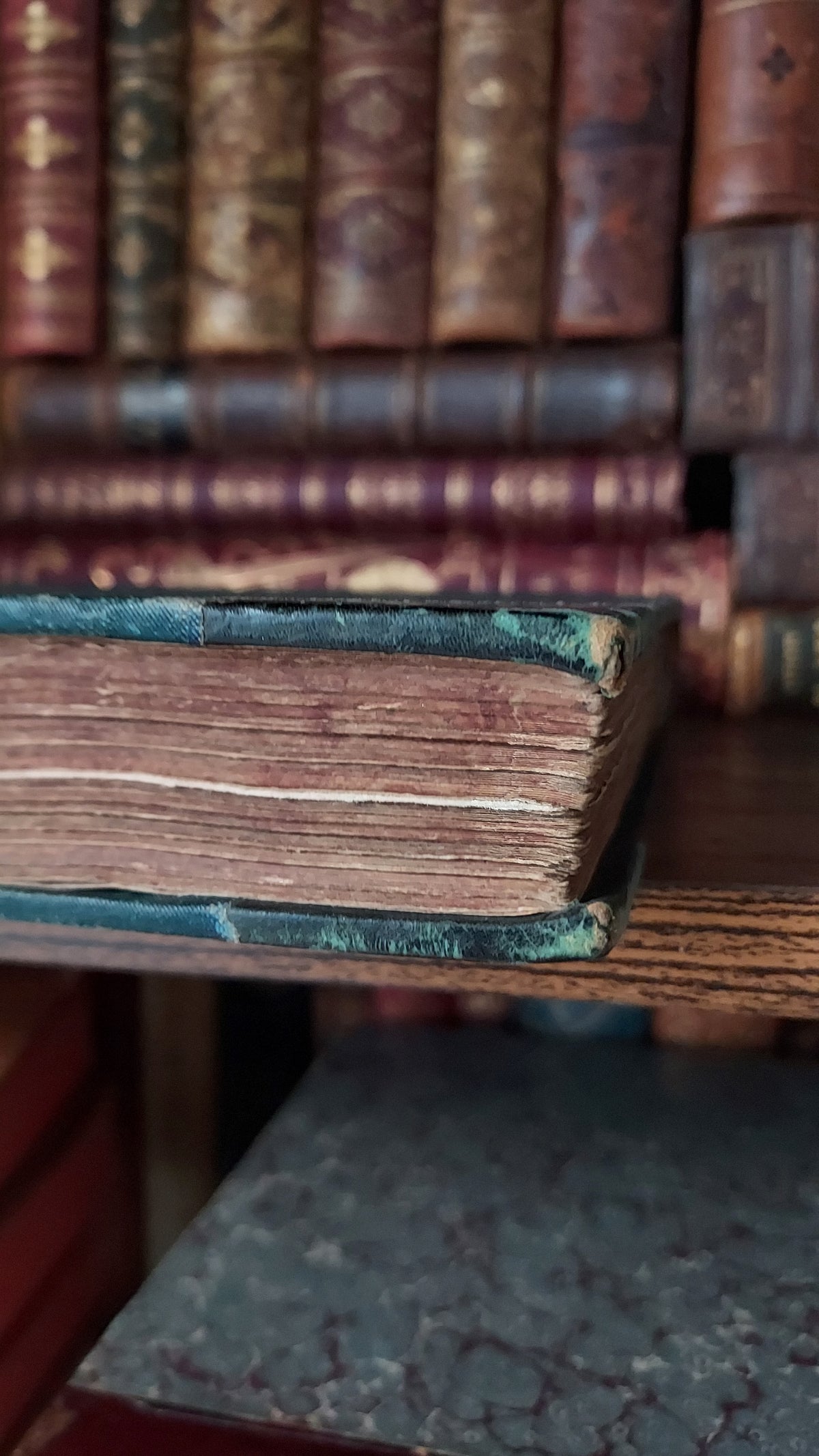 1804 The Shipwreck: A Poem | Green Leather & Thistles