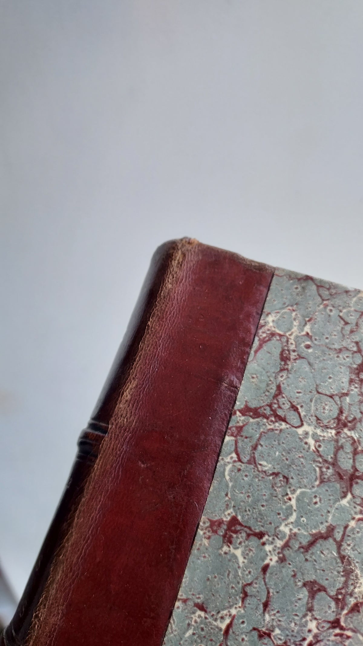 1867 Les Fleurs Animées | Grandville Brown Leather 2-Volume Set
