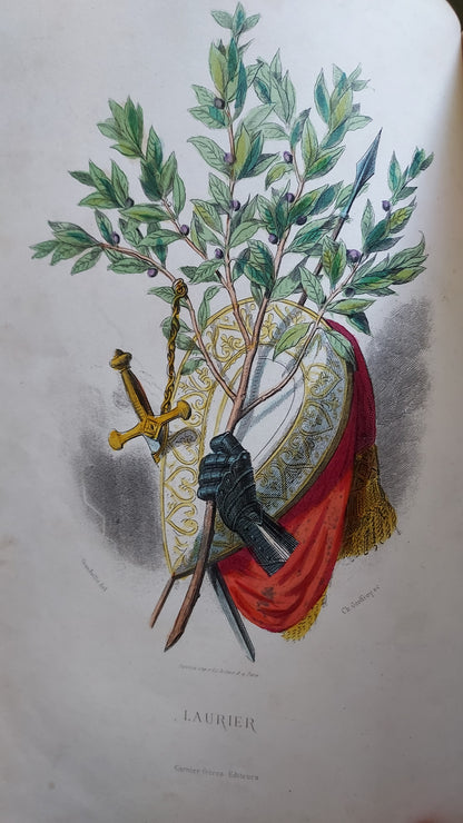 1867 Les Fleurs Animées | Grandville Brown Leather 2-Volume Set
