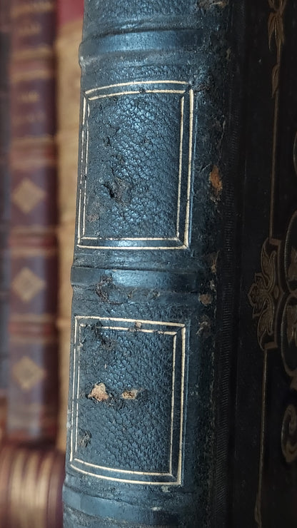 1845 Pierre Saintive | Vine Motif Cartonnage