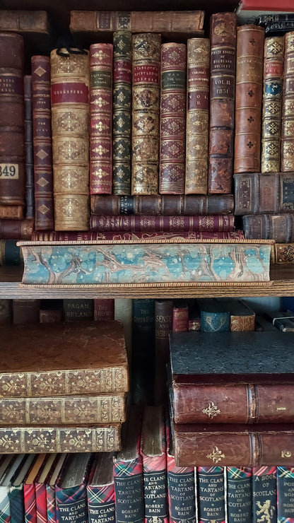 1882 Visits to Remarkable Places | Victorian Prize Binding