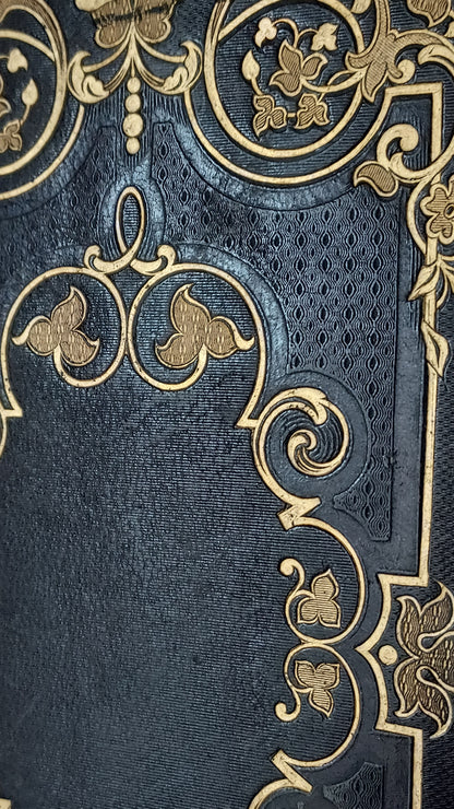 1845 Pierre Saintive | Vine Motif Cartonnage
