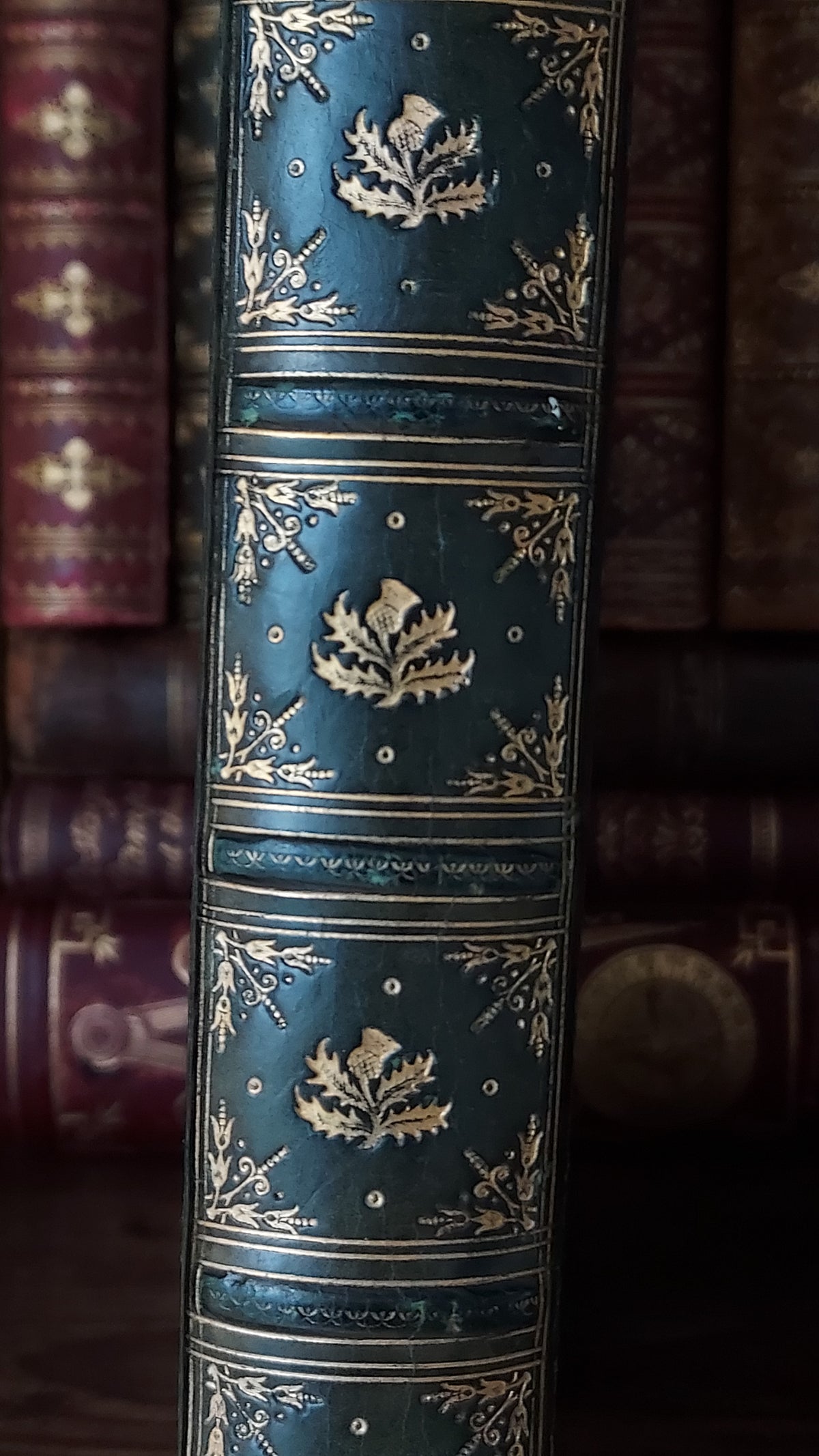 1804 The Shipwreck: A Poem | Green Leather & Thistles