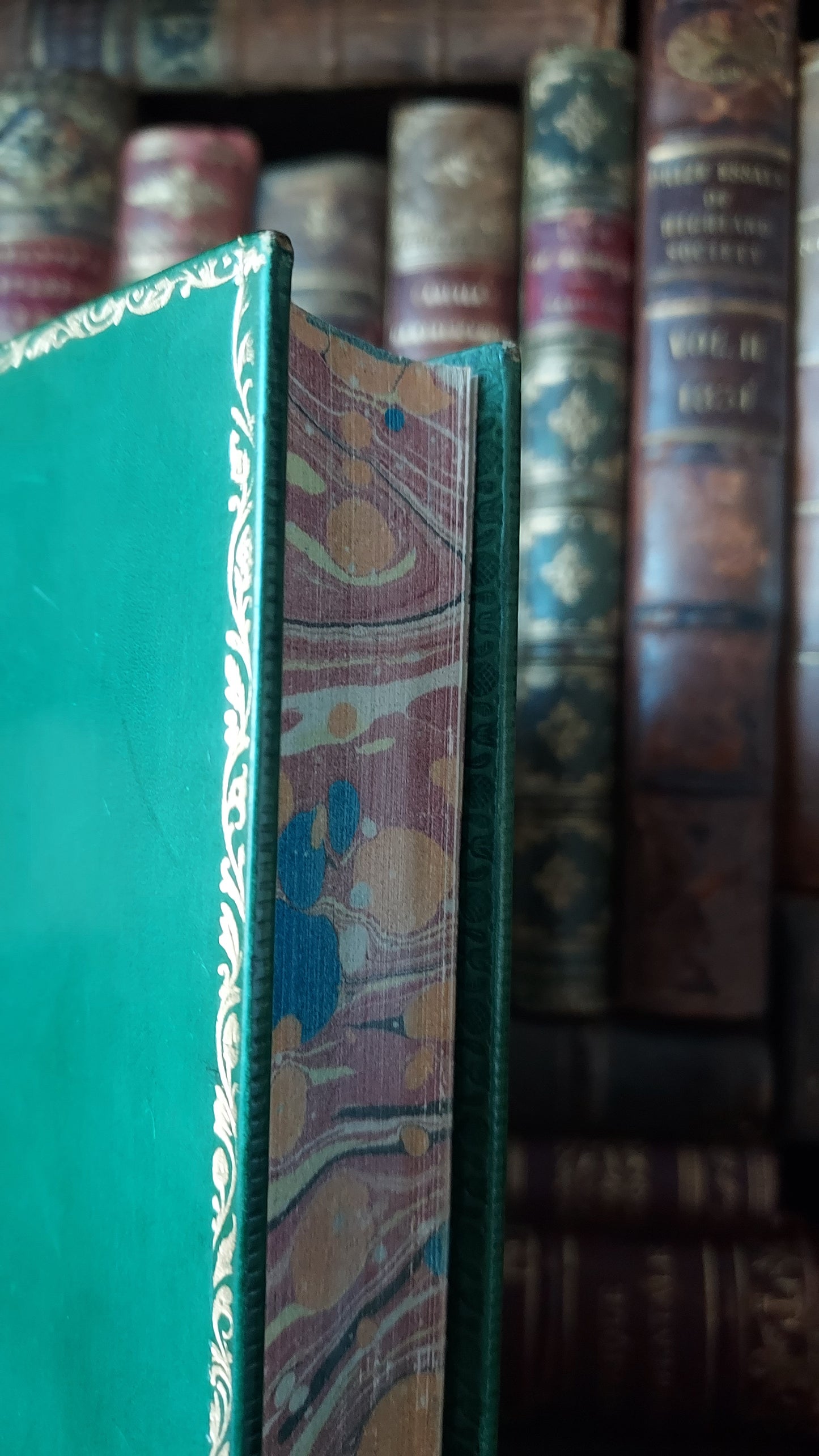 1897 Field and Hedgegrow | St. Andrew's School Fine Prize Binding