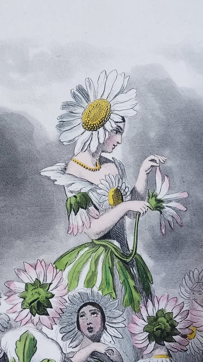 1867 Les Fleurs Animées | Grandville Brown Leather 2-Volume Set