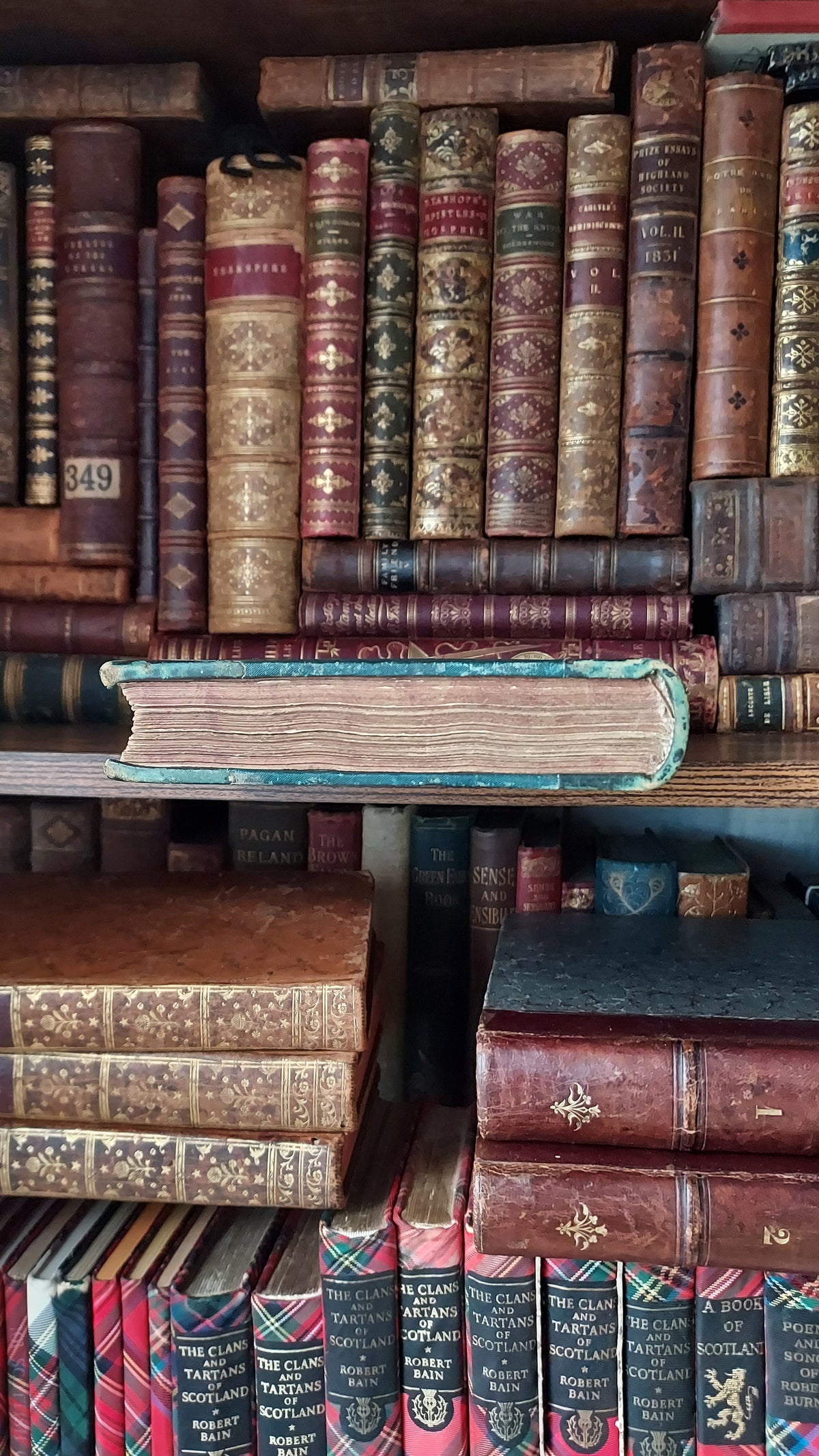 1804 The Shipwreck: A Poem | Green Leather & Thistles