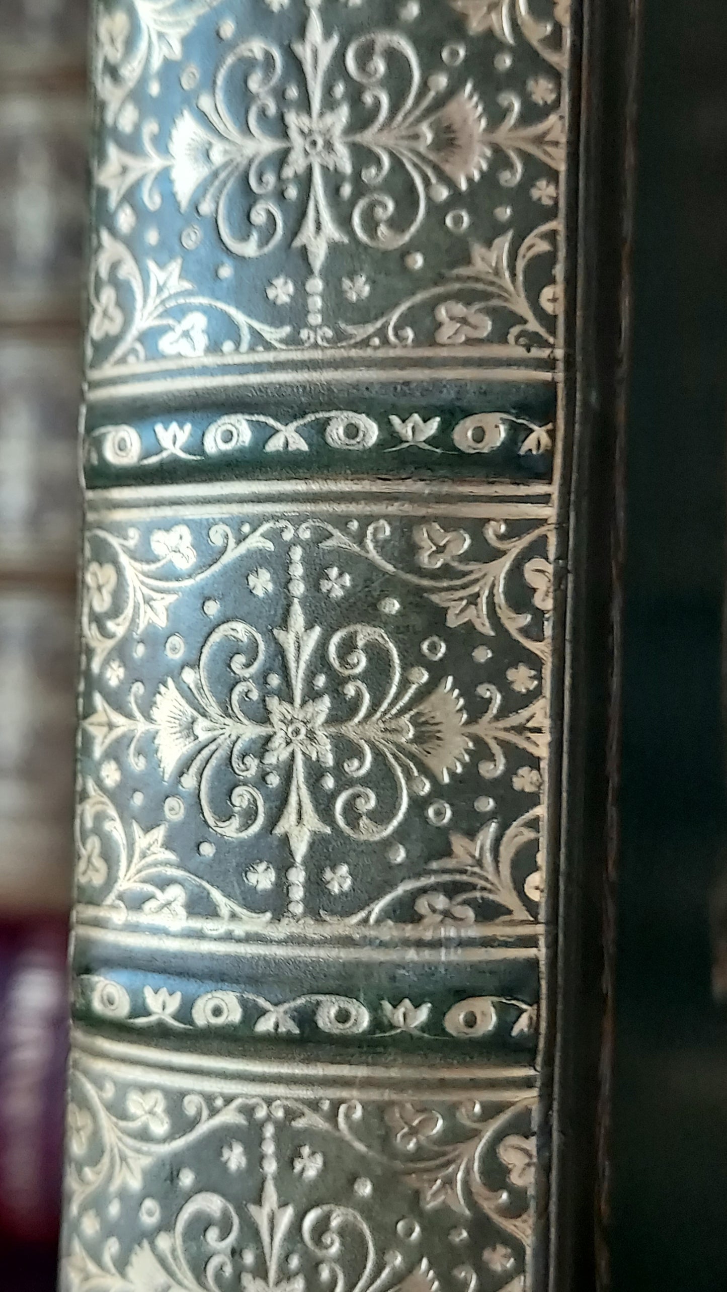 1897 Field and Hedgegrow | St. Andrew's School Fine Prize Binding