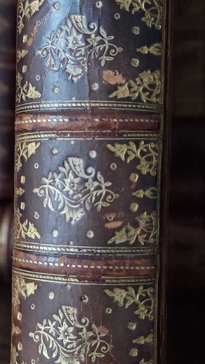 1882 Visits to Remarkable Places | Victorian Prize Binding