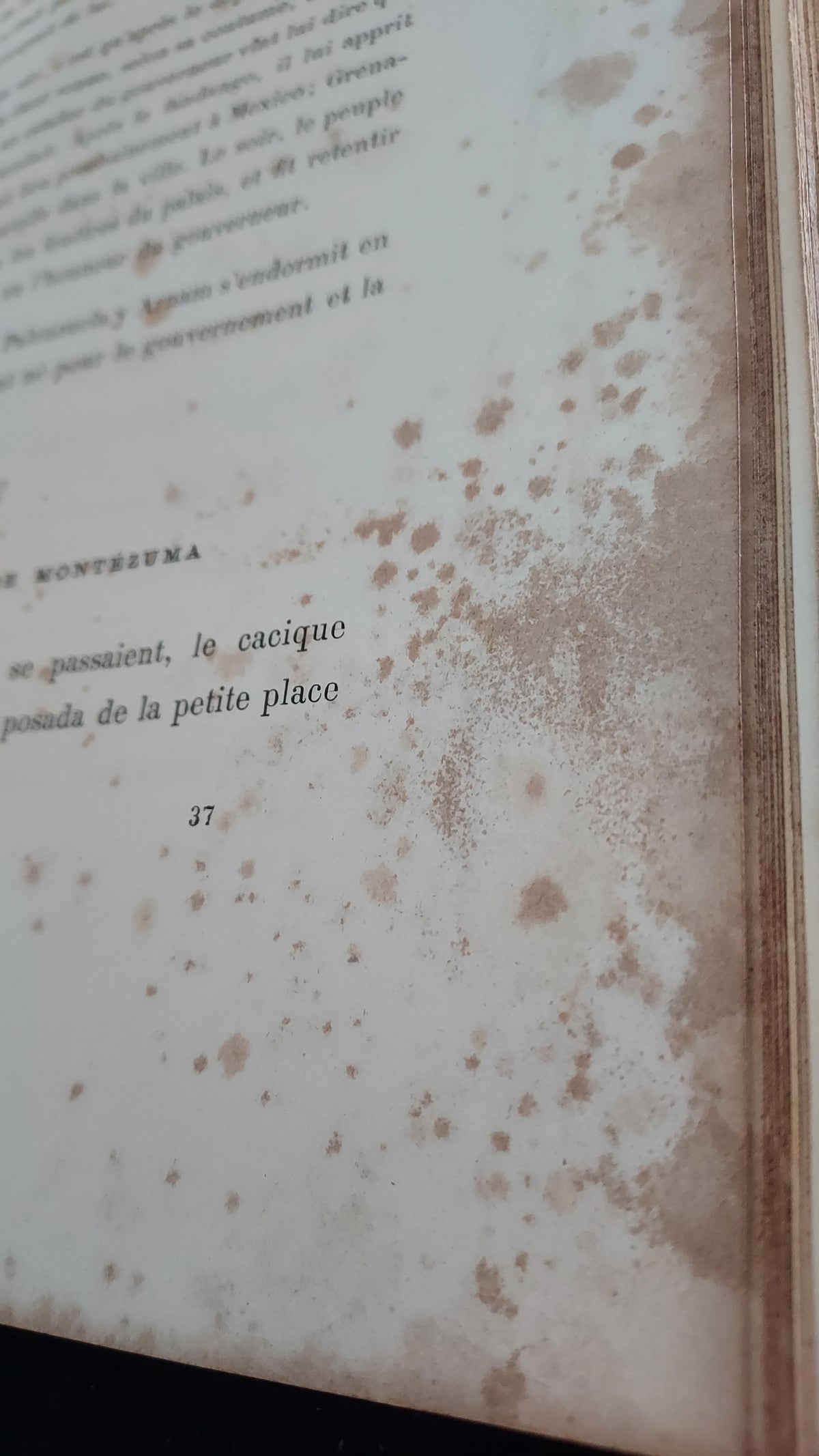 1867 Les Fleurs Animées | Grandville Brown Leather 2-Volume Set