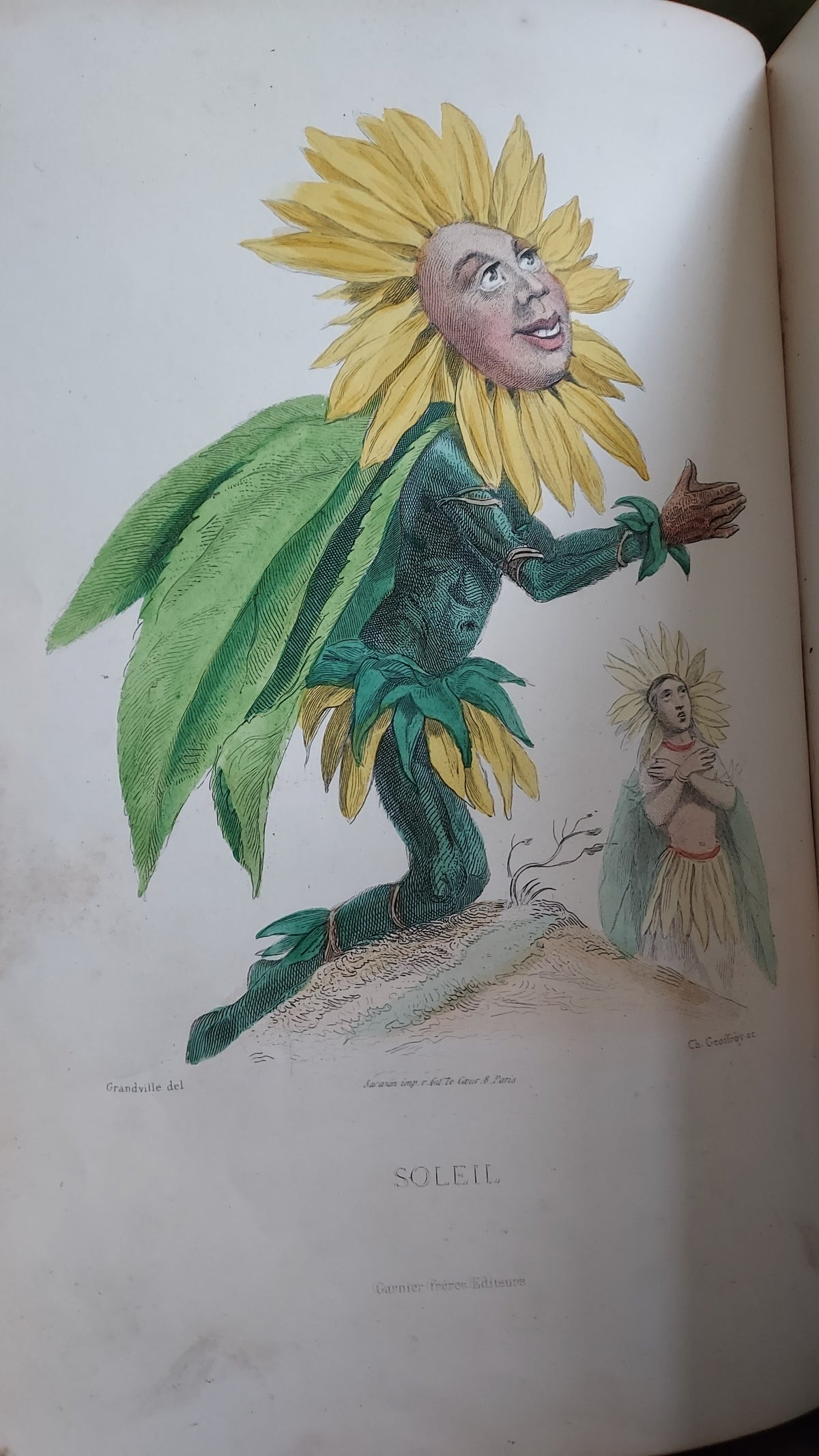 1867 Les Fleurs Animées | Grandville Brown Leather 2-Volume Set