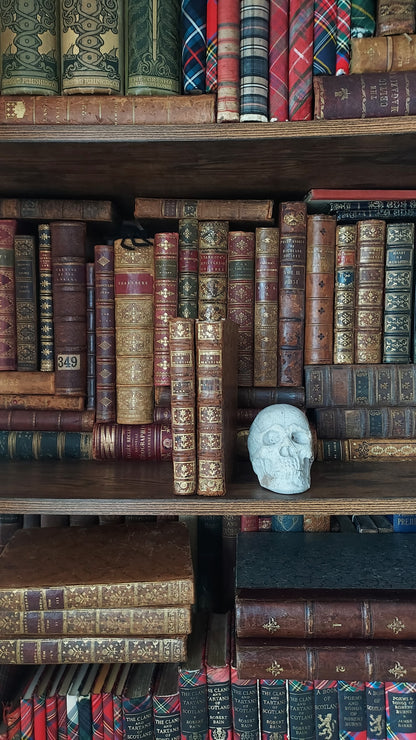 1776 Sermons de M. Massillon | 2-Volume Set w/Monastic Labels