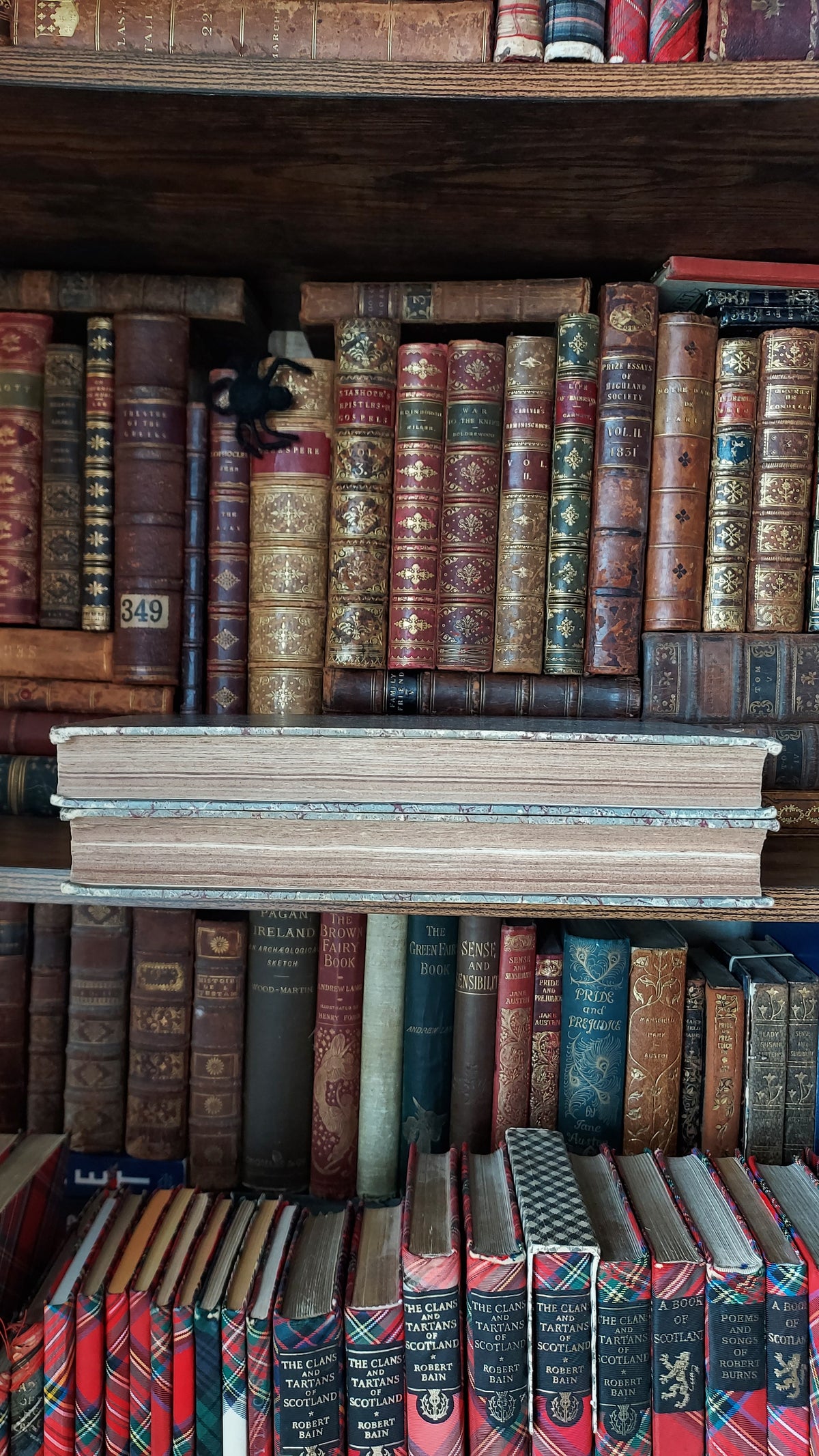 1867 Les Fleurs Animées | Grandville Brown Leather 2-Volume Set