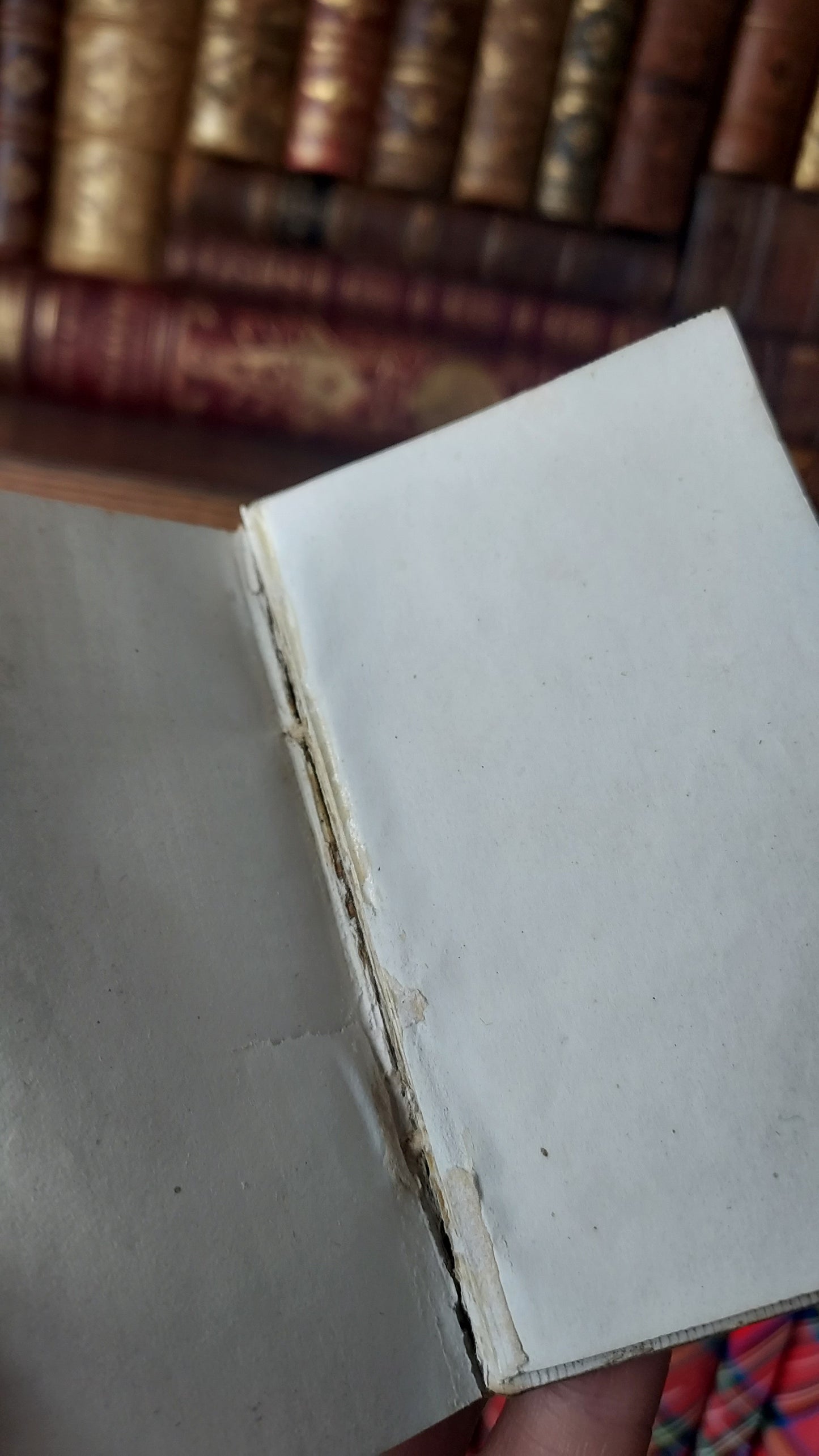 1868 Paroissien Romain | Mini Gauffered Edge