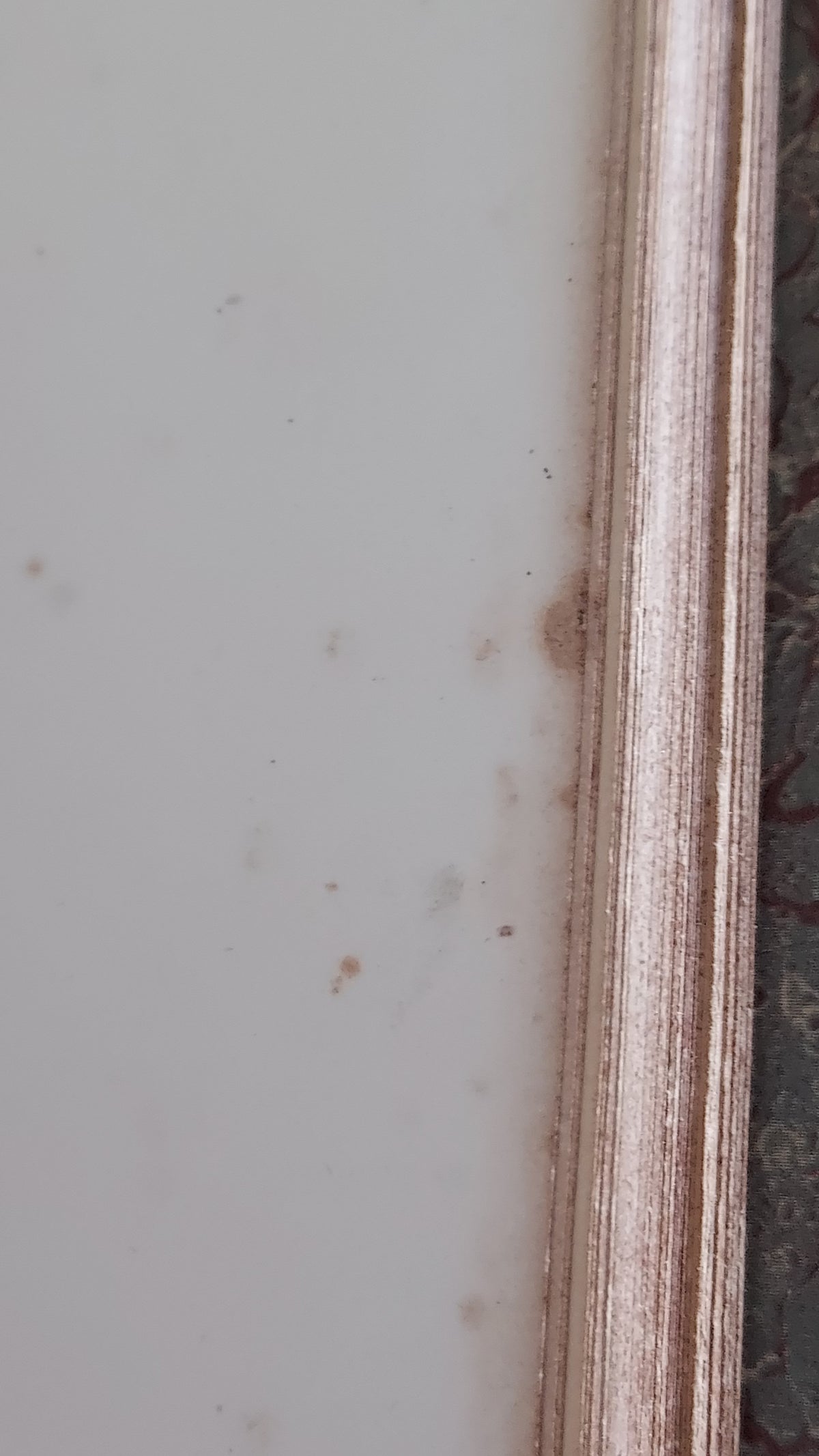 1867 Les Fleurs Animées | Grandville Brown Leather 2-Volume Set