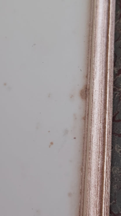 1867 Les Fleurs Animées | Grandville Brown Leather 2-Volume Set