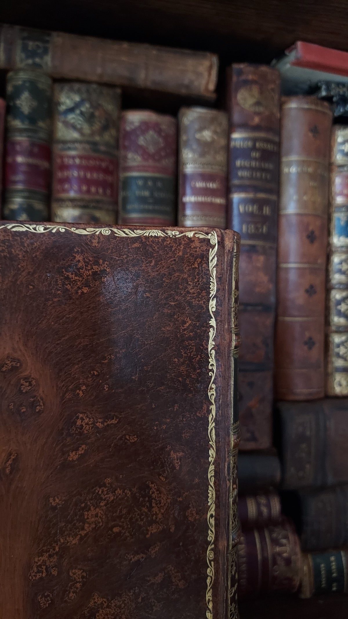 1882 Visits to Remarkable Places | Victorian Prize Binding