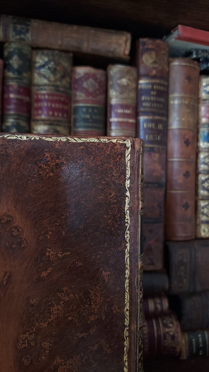 1882 Visits to Remarkable Places | Victorian Prize Binding