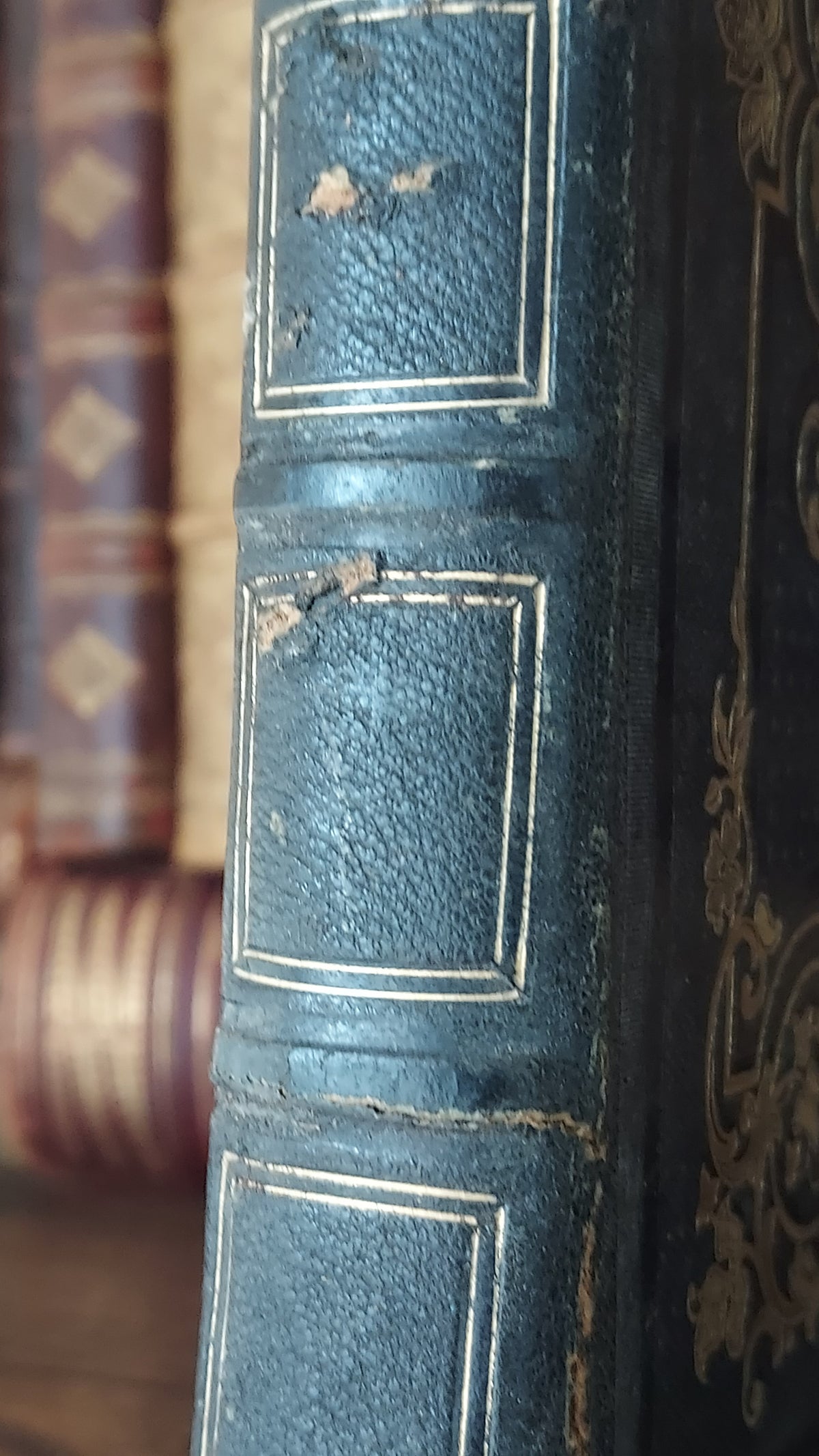 1845 Pierre Saintive | Vine Motif Cartonnage