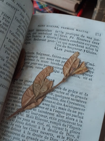 1870s Paroissien Romain: First Communion, A. A. Initials