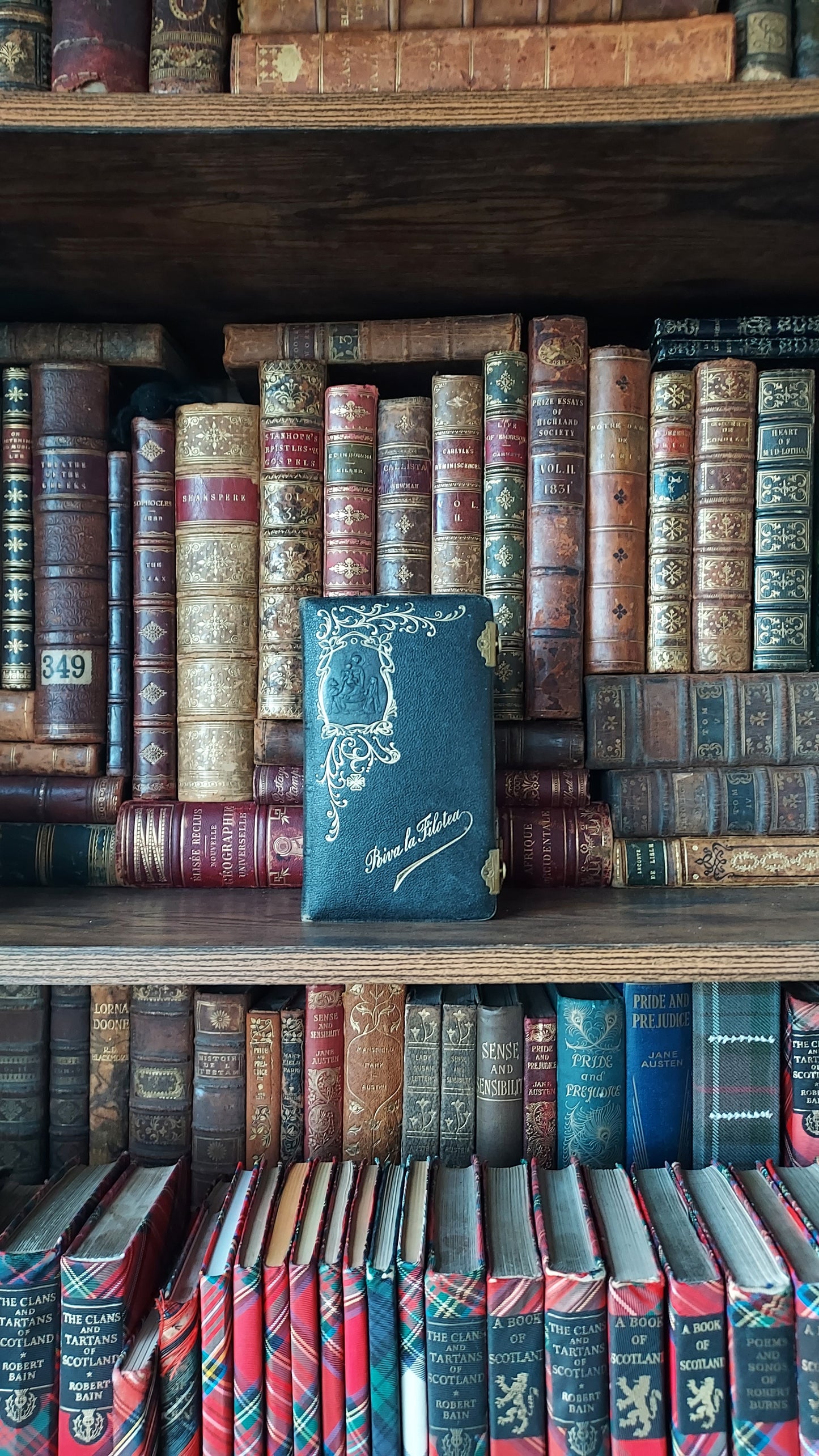 1897 Manuale di Filotea | Hand-Painted Rose Gauffered Edges
