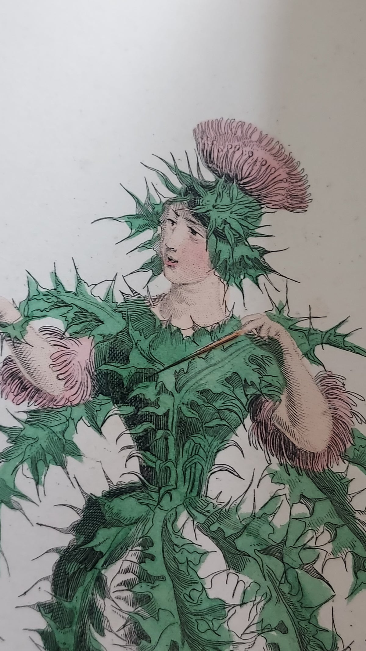 1867 Les Fleurs Animées | Grandville Brown Leather 2-Volume Set