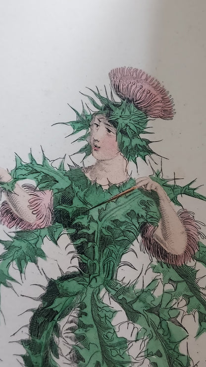 1867 Les Fleurs Animées | Grandville Brown Leather 2-Volume Set