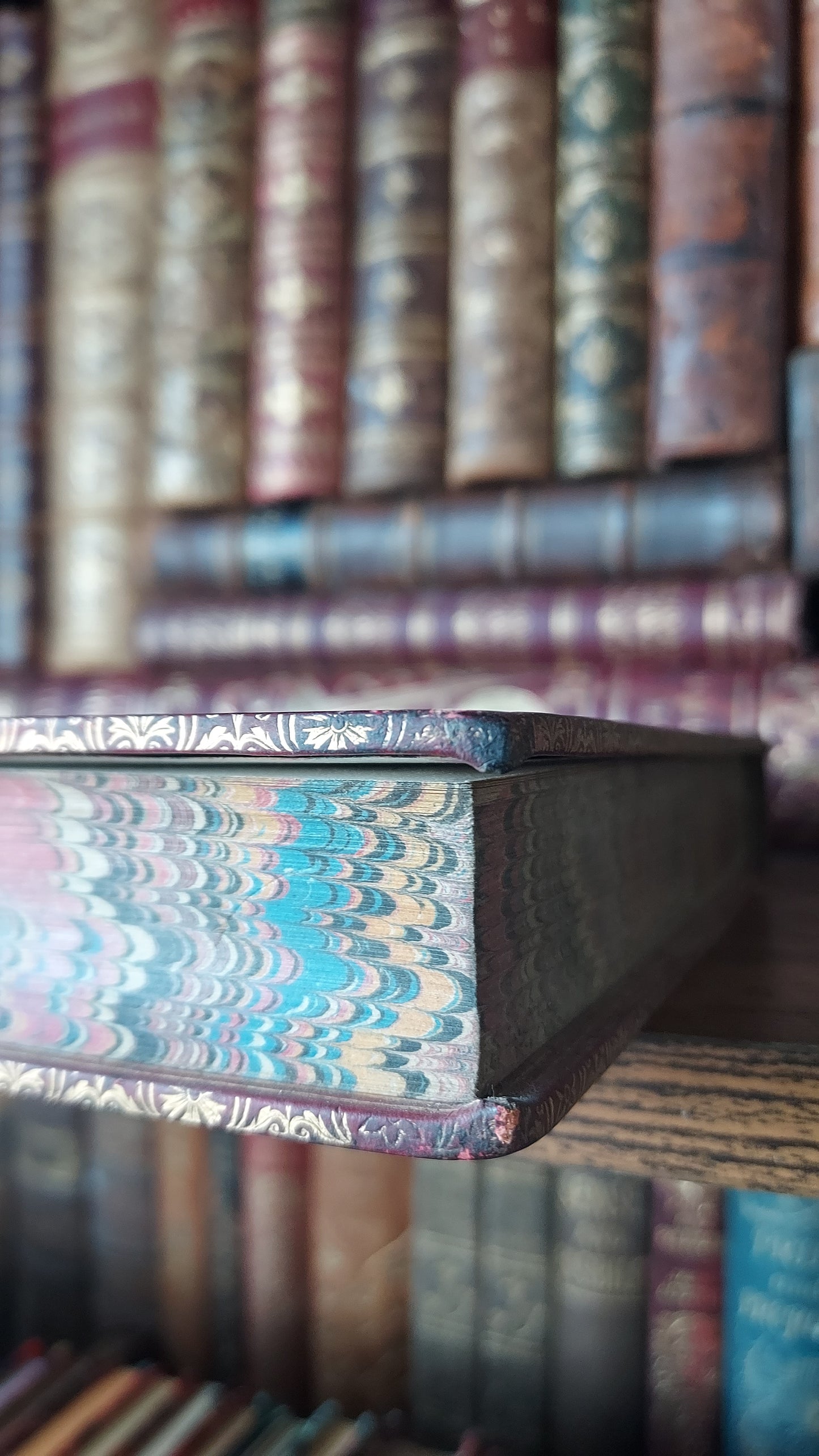 1850 The Bible History of the Holy Land | Harrow Fine Prize Binding