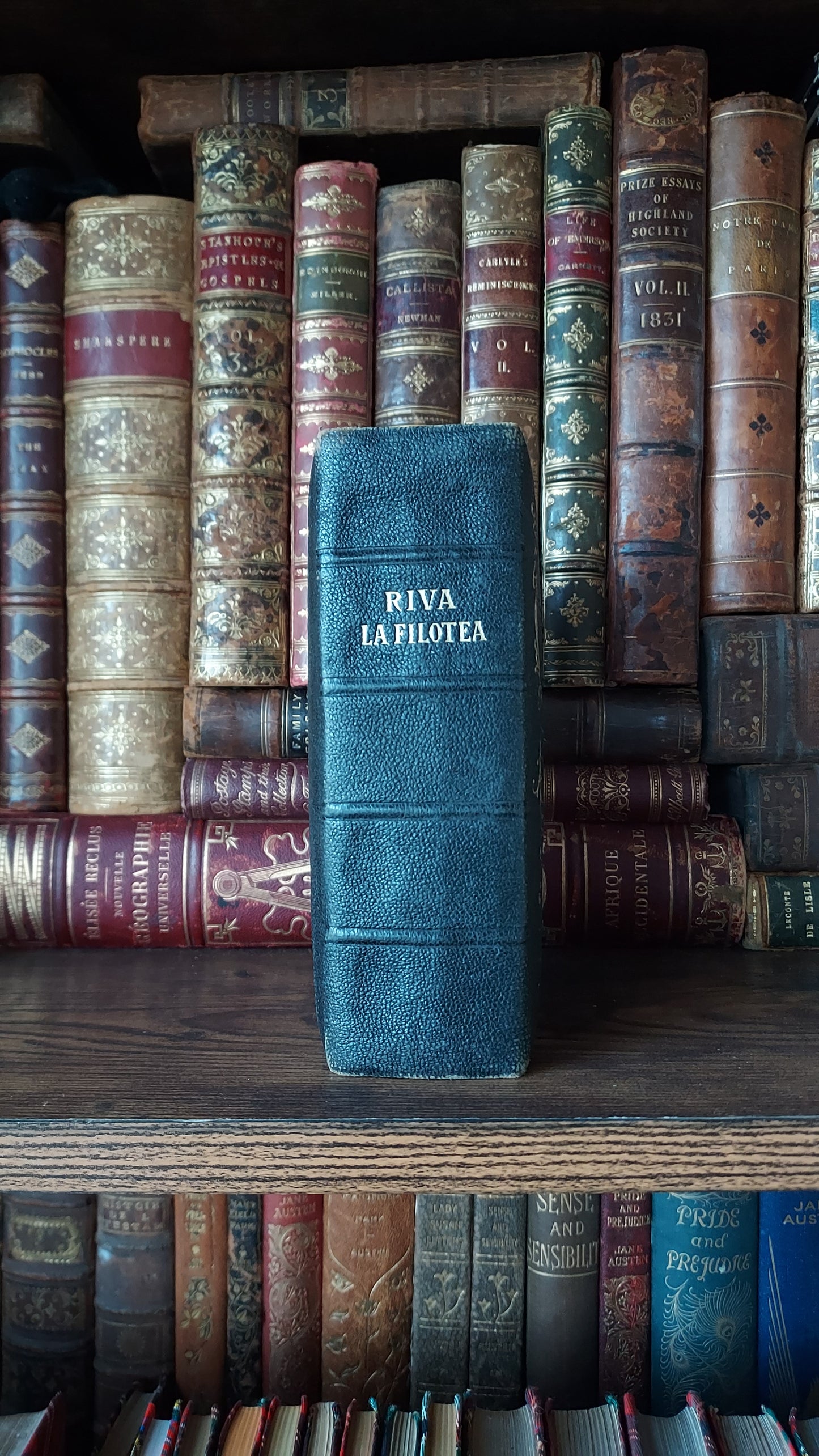 1897 Manuale di Filotea | Hand-Painted Rose Gauffered Edges