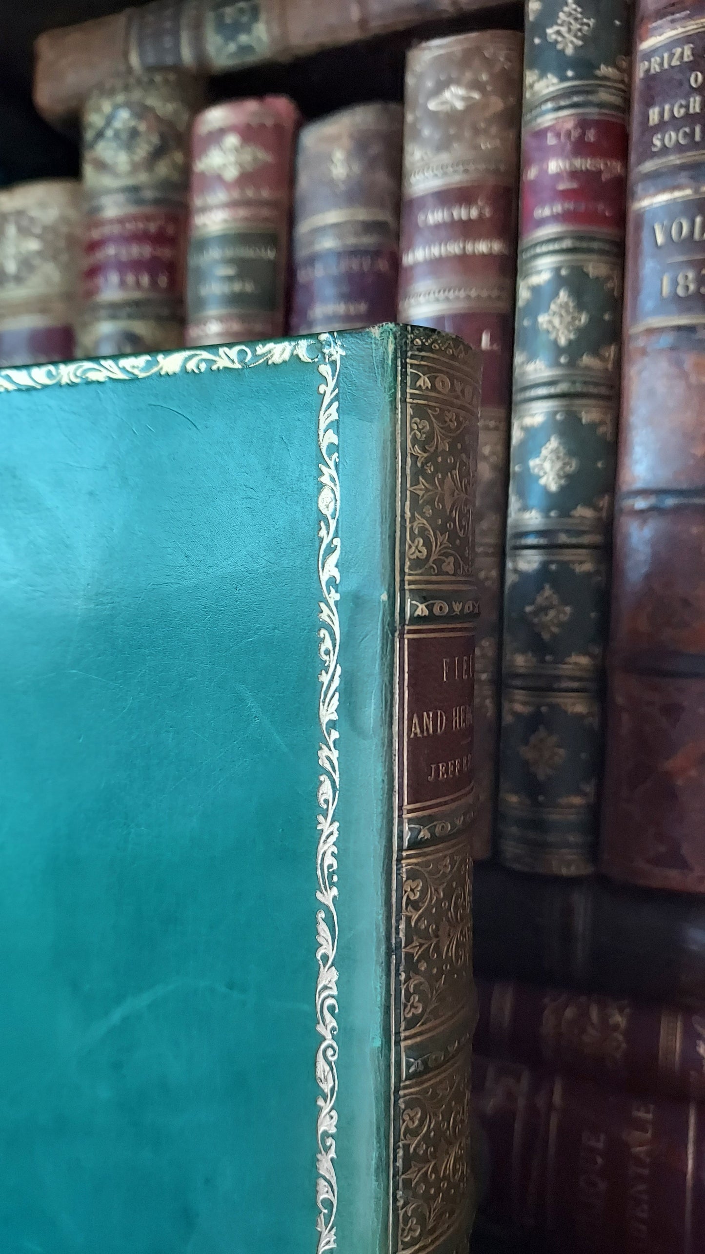 1897 Field and Hedgegrow | St. Andrew's School Fine Prize Binding