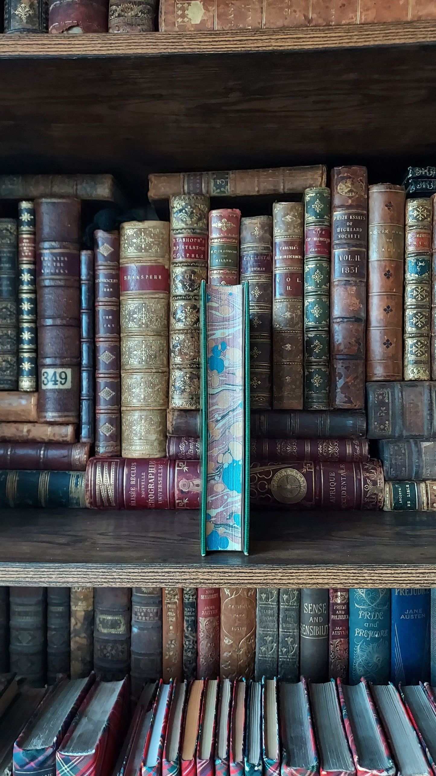 1897 Field and Hedgegrow | St. Andrew's School Fine Prize Binding