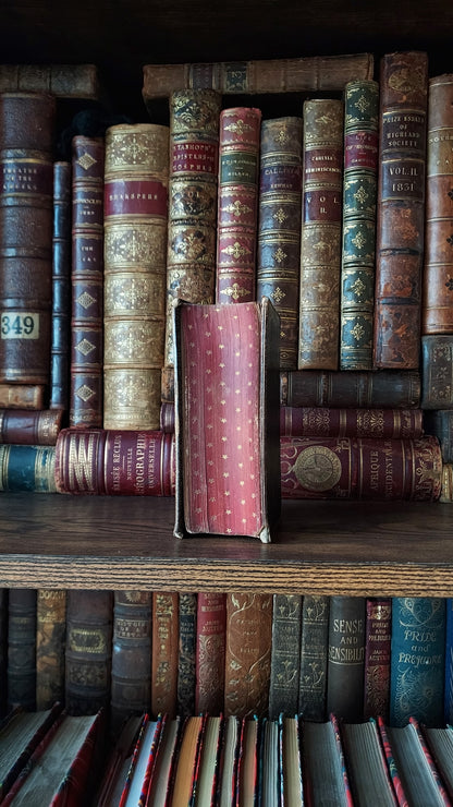 1876 Paroissien Romain | Red Star Gauffered Edge