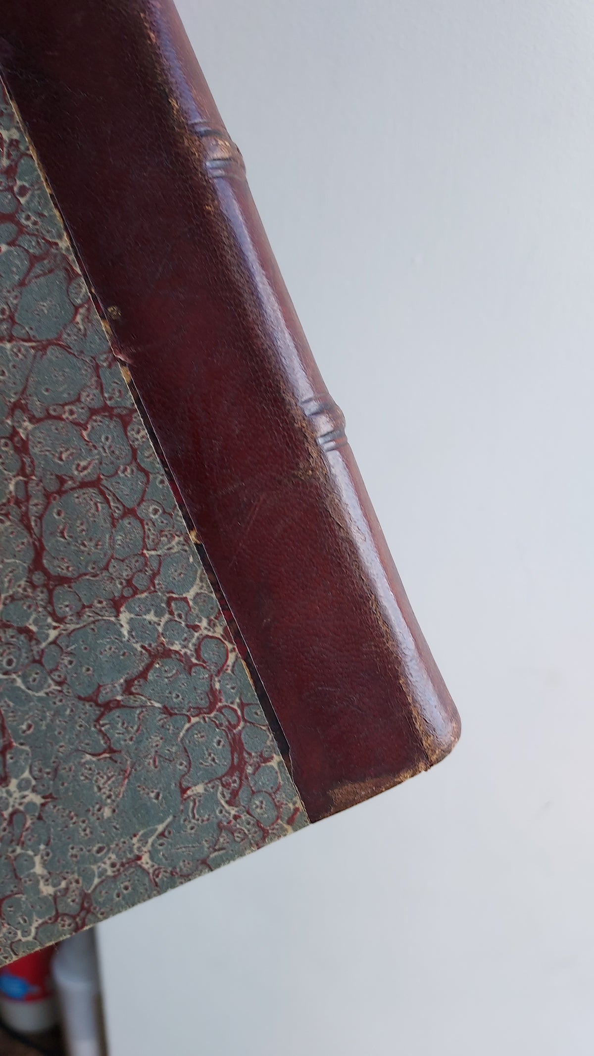 1867 Les Fleurs Animées | Grandville Brown Leather 2-Volume Set