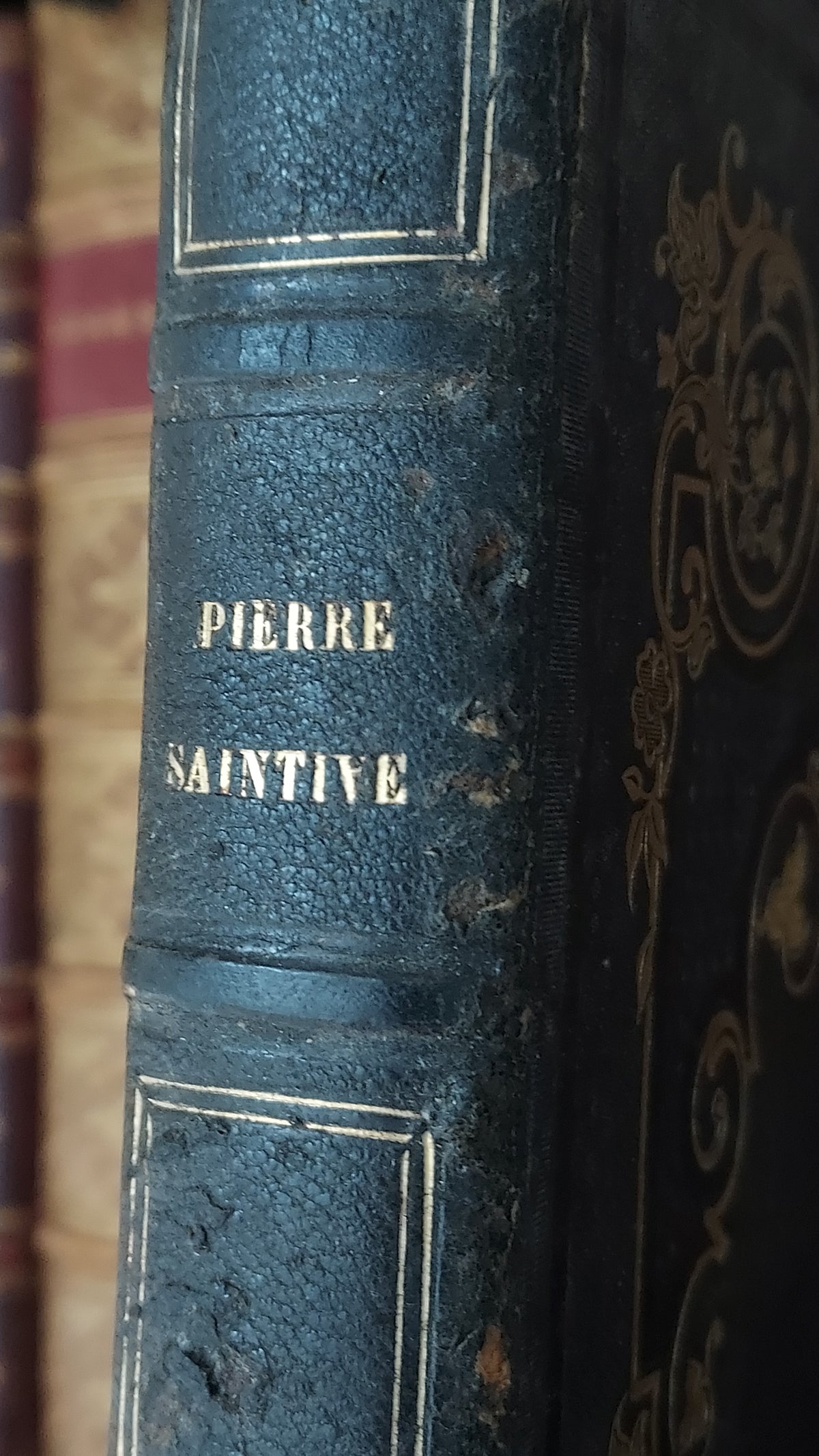 1845 Pierre Saintive | Vine Motif Cartonnage