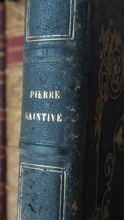1845 Pierre Saintive | Vine Motif Cartonnage