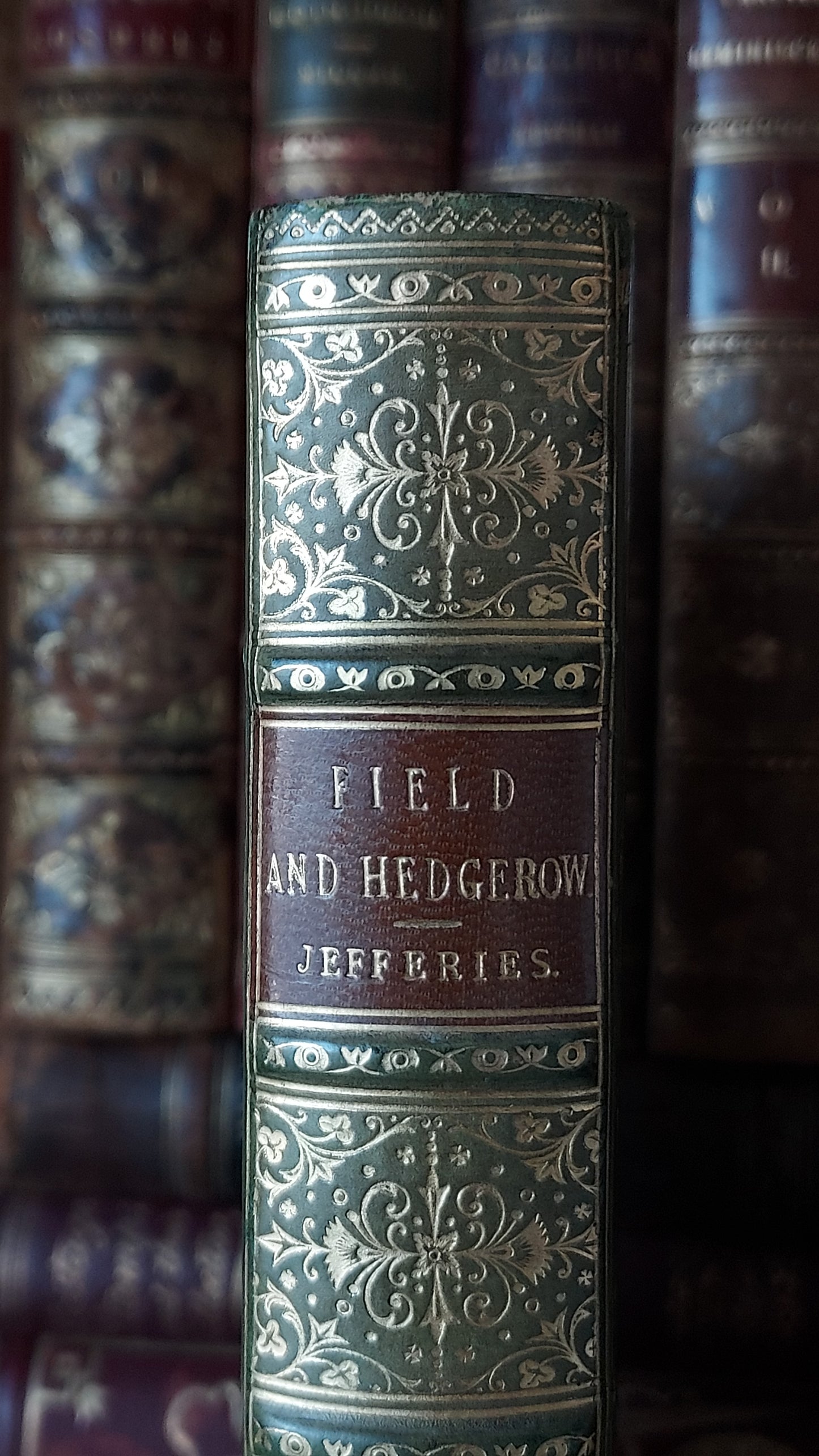 1897 Field and Hedgegrow | St. Andrew's School Fine Prize Binding