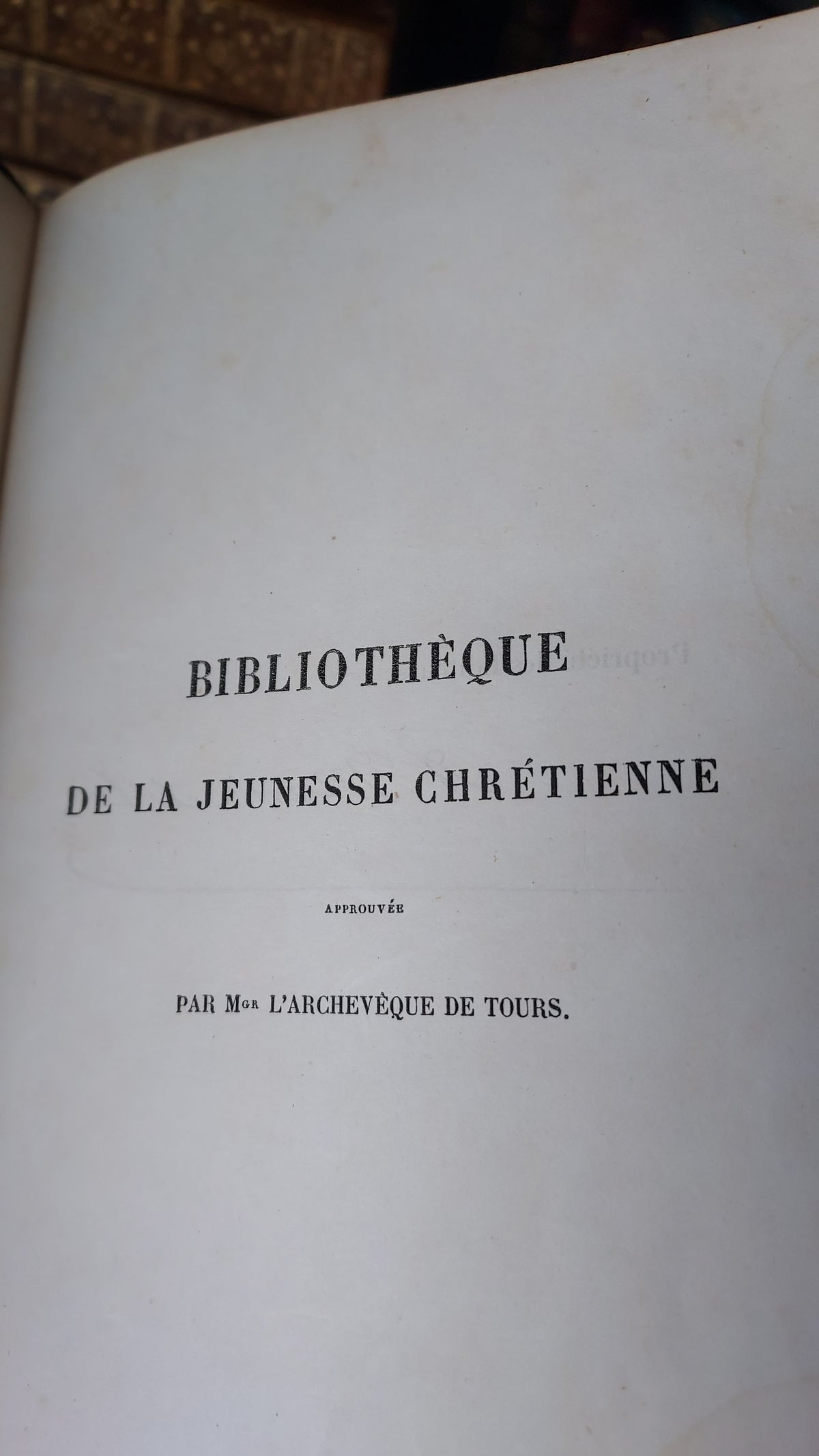 1845 Pierre Saintive | Vine Motif Cartonnage