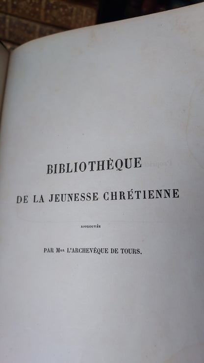 1845 Pierre Saintive | Vine Motif Cartonnage