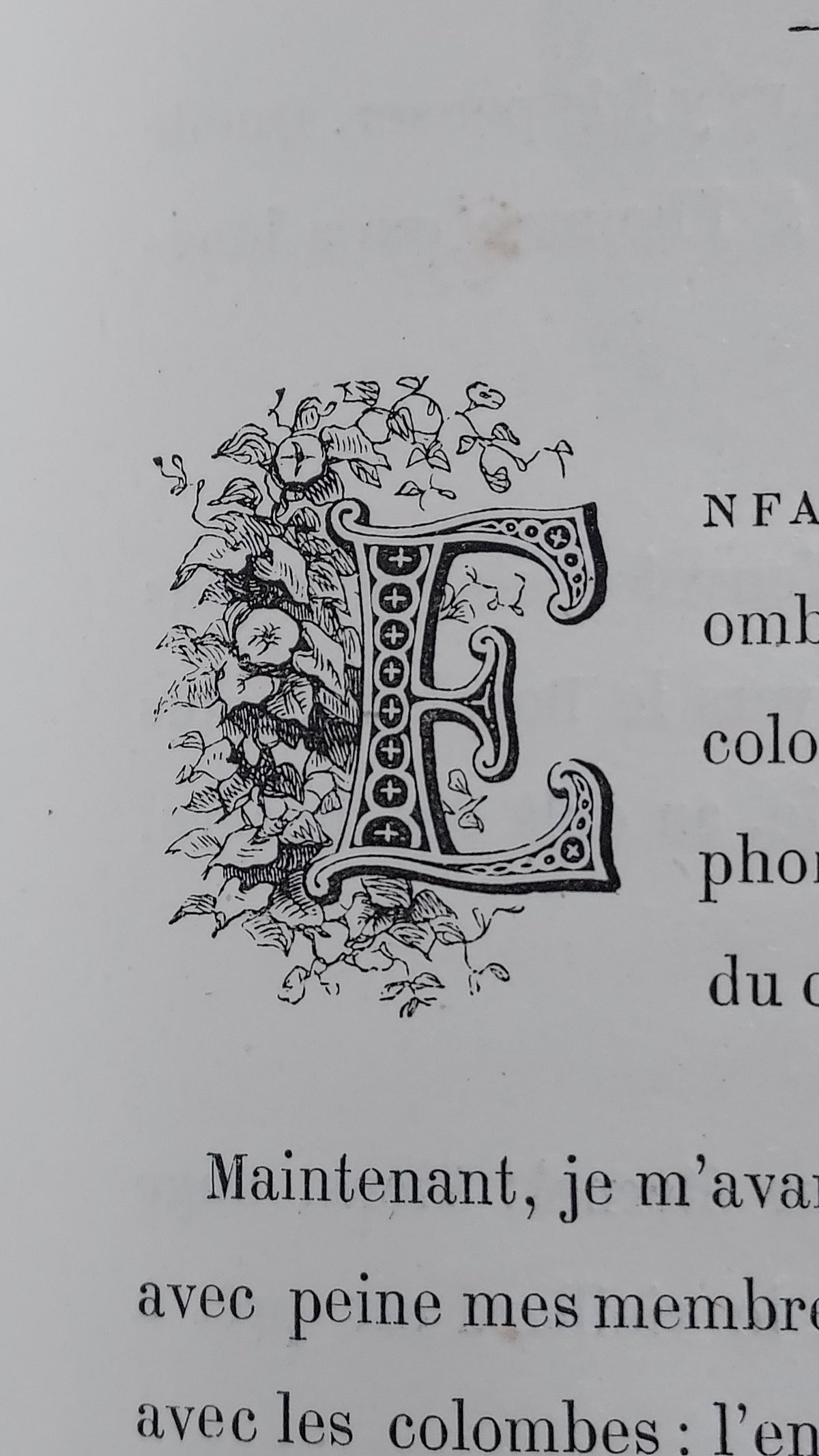 1867 Les Fleurs Animées | Grandville Brown Leather 2-Volume Set
