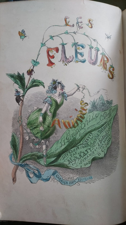 1867 Les Fleurs Animées | Grandville Brown Leather 2-Volume Set