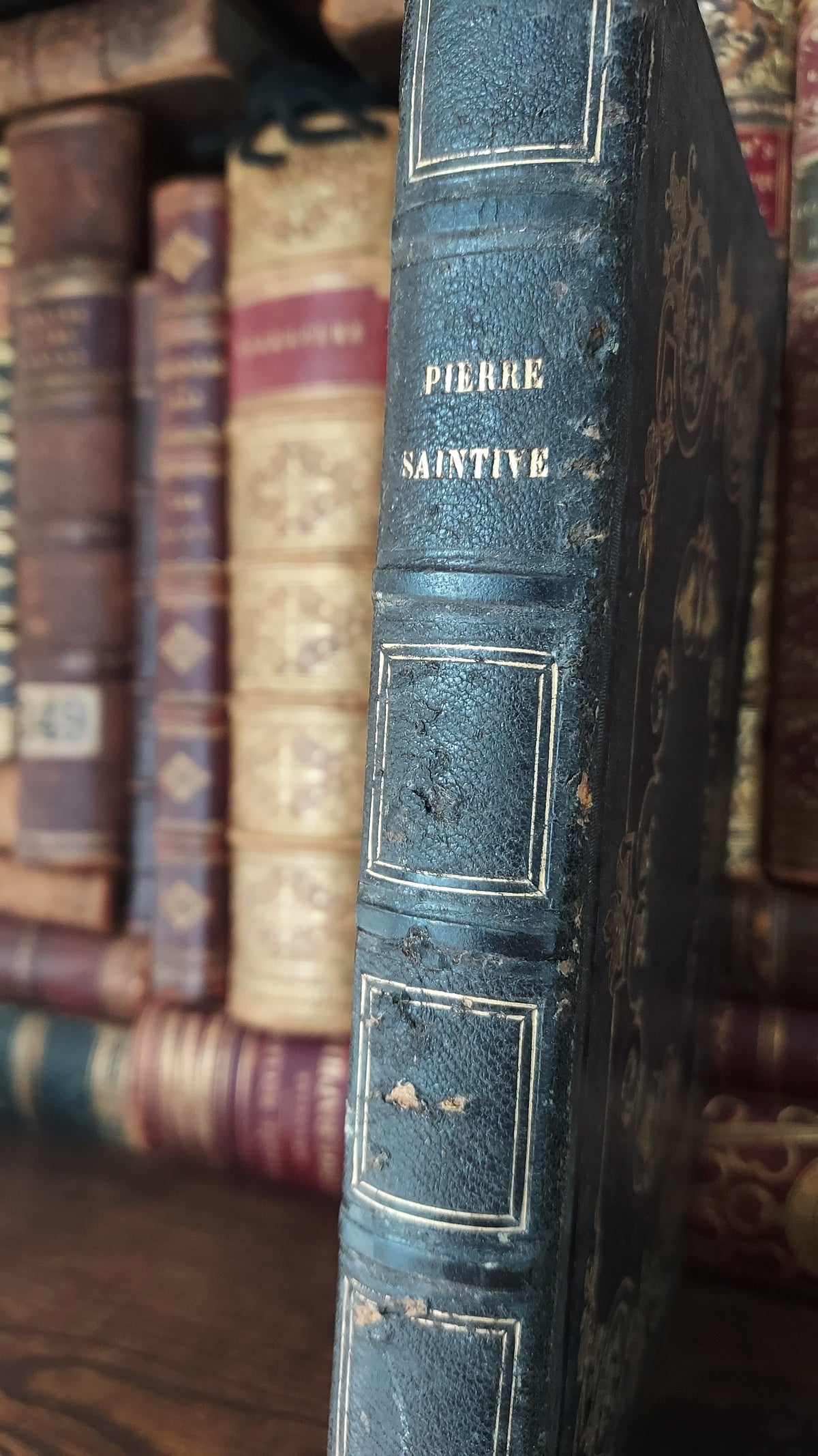 1845 Pierre Saintive | Vine Motif Cartonnage